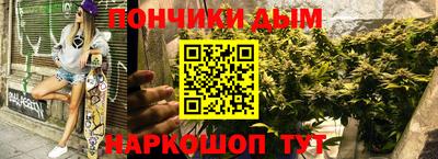 шишки Канаш