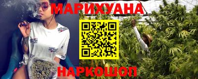 МДПВ Камышлов