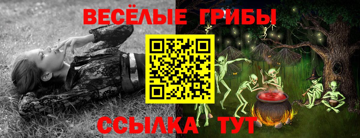 Псилоцибиновые грибы мицелий Южно-Сахалинск