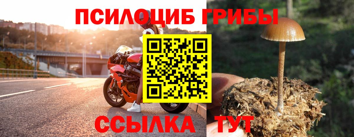 Галлюциногенные грибы прущие грибы  Вход с VPN  Южно-Сахалинск 